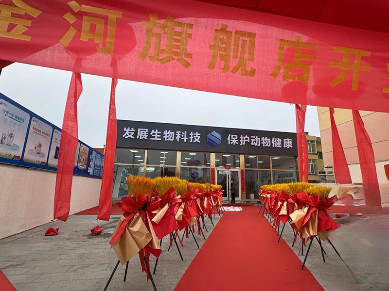 w88win优德(中国)官方网站