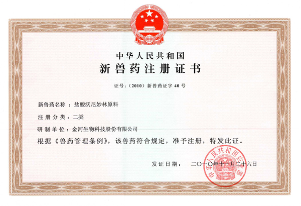 w88win优德(中国)官方网站