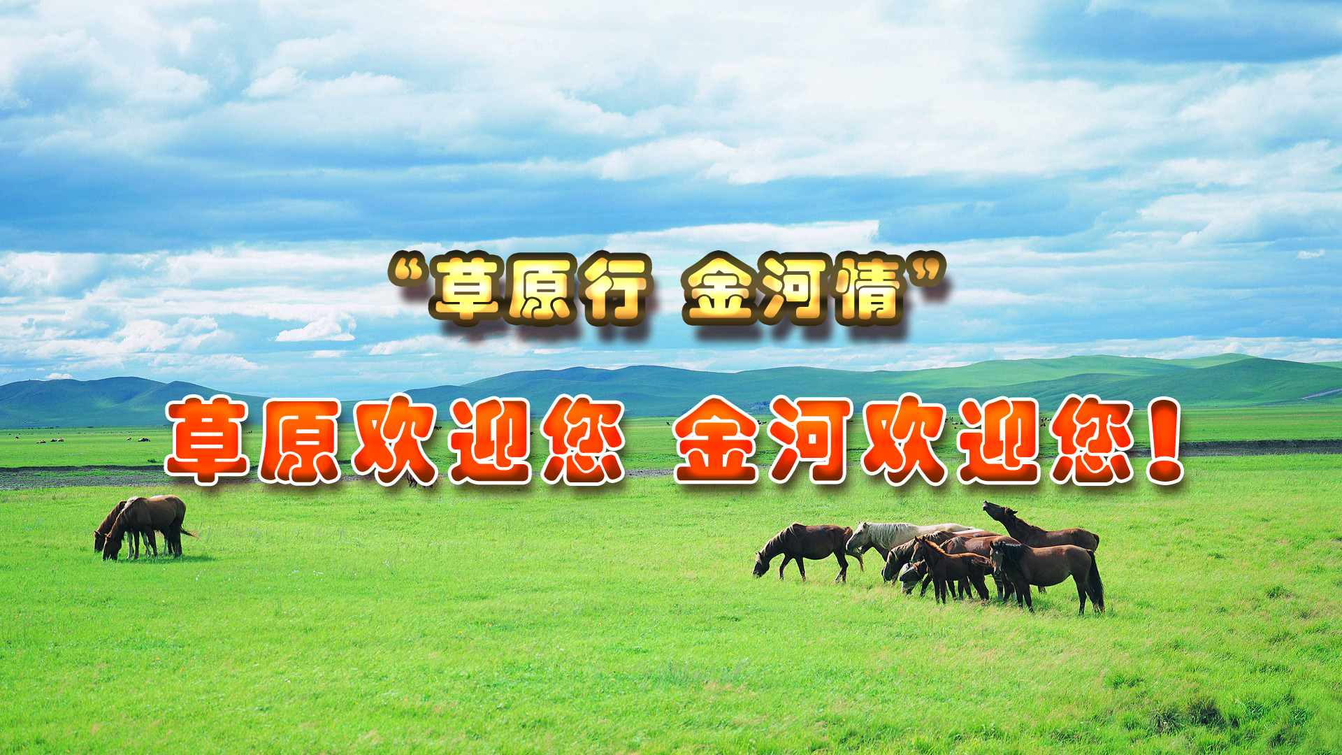 w88win优德(中国)官方网站