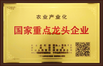 国度沉点龙头企业